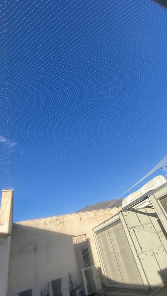 רשת מתוחה מעל חצר פנימית בין מבנים